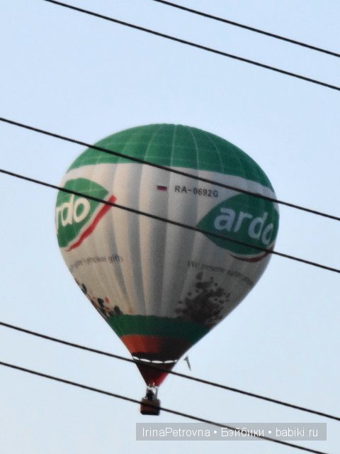Урок ботаники для Маруси на даче в Подмосковье | Бэйбики Урок ботаники для Маруси на даче в Подмосковье