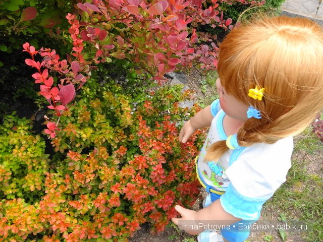 Урок ботаники для Маруси на даче в Подмосковье | Бэйбики Урок ботаники для Маруси на даче в Подмосковье