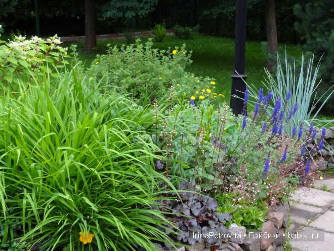 Урок ботаники для Маруси на даче в Подмосковье | Бэйбики Урок ботаники для Маруси на даче в Подмосковье