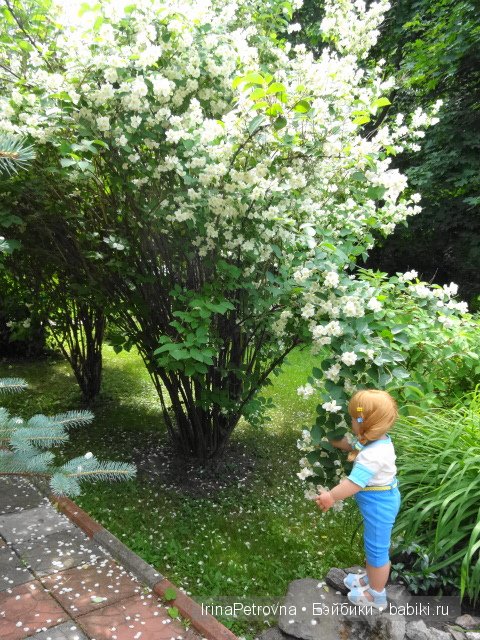 Урок ботаники для Маруси на даче в Подмосковье | Бэйбики Урок ботаники для Маруси на даче в Подмосковье