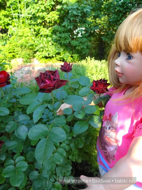 Урок ботаники для Маруси на даче в Подмосковье | Бэйбики Урок ботаники для Маруси на даче в Подмосковье