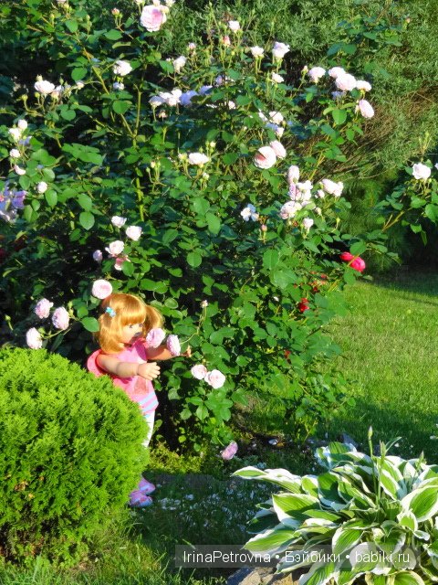 Урок ботаники для Маруси на даче в Подмосковье | Бэйбики Урок ботаники для Маруси на даче в Подмосковье