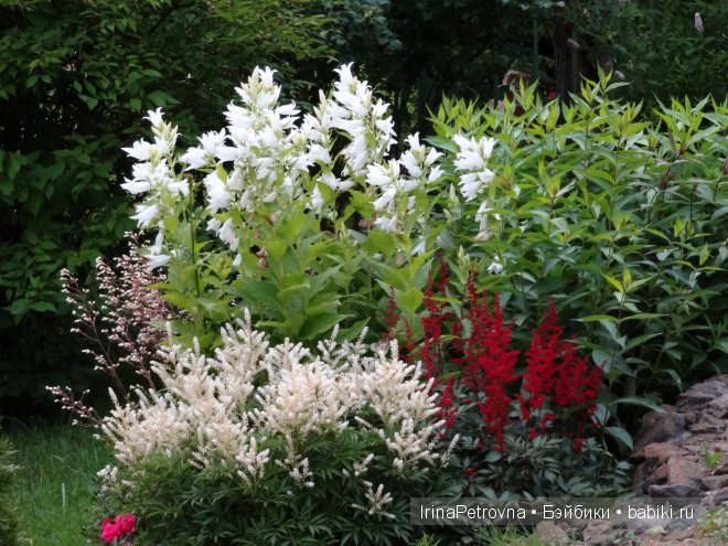 Урок ботаники для Маруси на даче в Подмосковье | Бэйбики Урок ботаники для Маруси на даче в Подмосковье