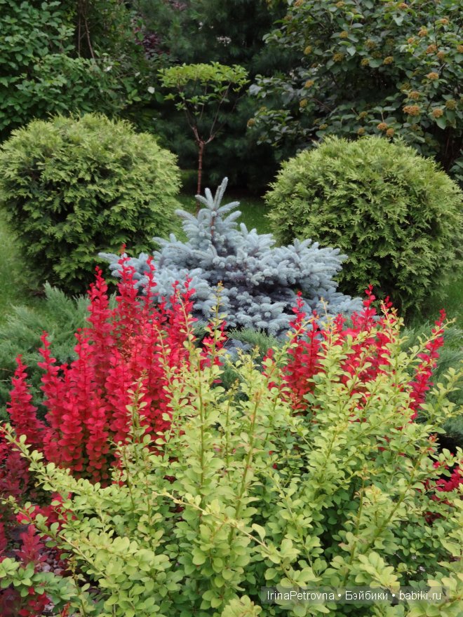 Урок ботаники для Маруси на даче в Подмосковье | Бэйбики Урок ботаники для Маруси на даче в Подмосковье