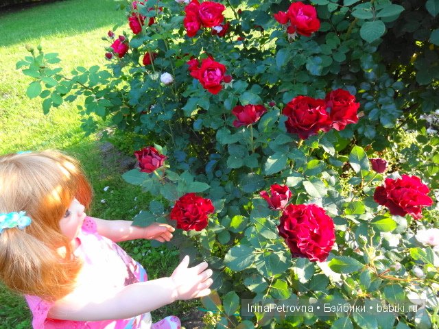 Урок ботаники для Маруси на даче в Подмосковье | Бэйбики Урок ботаники для Маруси на даче в Подмосковье