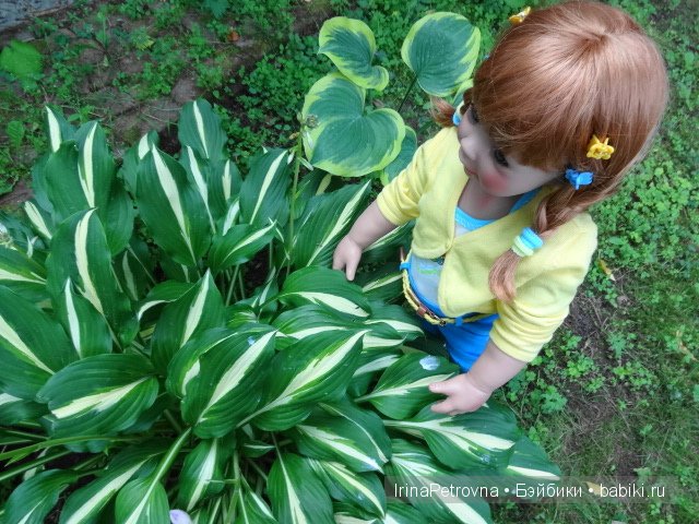 Урок ботаники для Маруси на даче в Подмосковье | Бэйбики Урок ботаники для Маруси на даче в Подмосковье