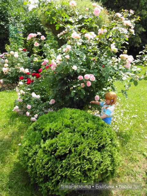 Урок ботаники для Маруси на даче в Подмосковье | Бэйбики Урок ботаники для Маруси на даче в Подмосковье