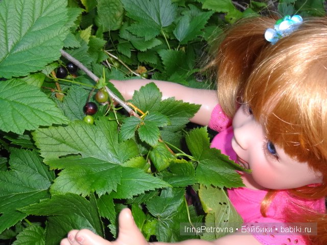 Урок ботаники для Маруси на даче в Подмосковье | Бэйбики Урок ботаники для Маруси на даче в Подмосковье