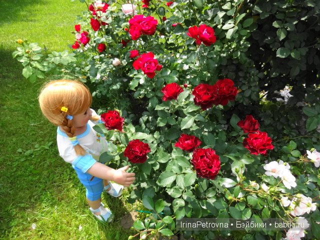 Урок ботаники для Маруси на даче в Подмосковье | Бэйбики Урок ботаники для Маруси на даче в Подмосковье