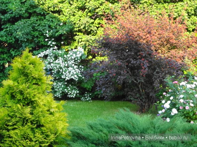 Урок ботаники для Маруси на даче в Подмосковье | Бэйбики Урок ботаники для Маруси на даче в Подмосковье (фото 9)