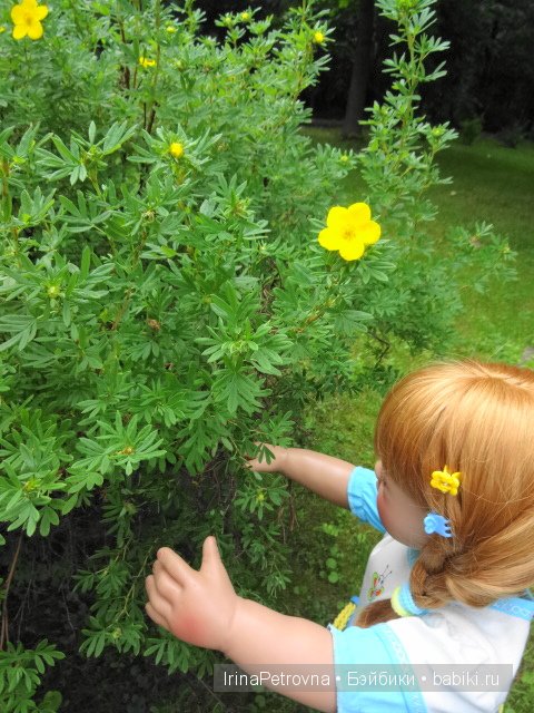 Урок ботаники для Маруси на даче в Подмосковье | Бэйбики Урок ботаники для Маруси на даче в Подмосковье