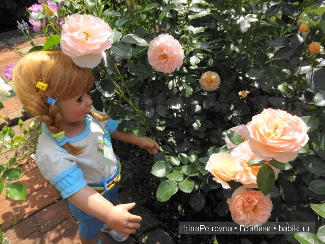 Урок ботаники для Маруси на даче в Подмосковье | Бэйбики Урок ботаники для Маруси на даче в Подмосковье