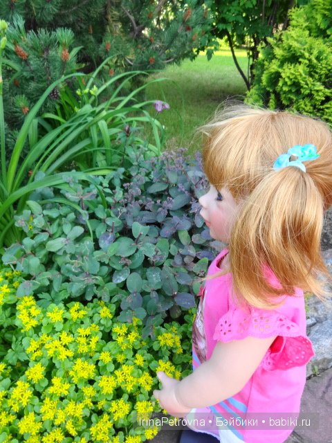 Урок ботаники для Маруси на даче в Подмосковье | Бэйбики Урок ботаники для Маруси на даче в Подмосковье (фото 5)