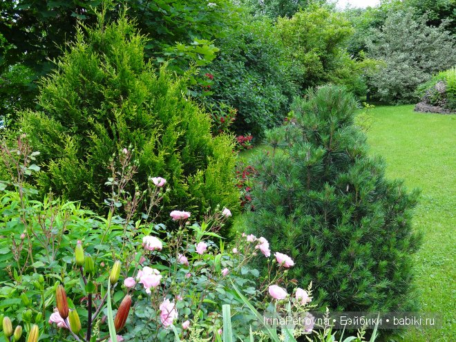 Урок ботаники для Маруси на даче в Подмосковье | Бэйбики Урок ботаники для Маруси на даче в Подмосковье