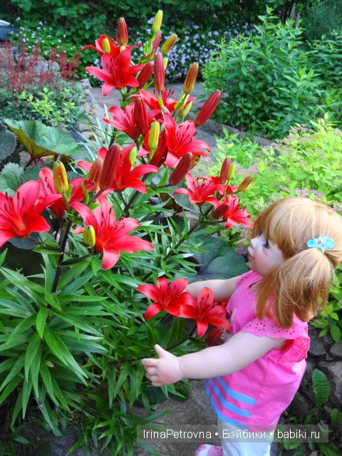 Урок ботаники для Маруси на даче в Подмосковье | Бэйбики Урок ботаники для Маруси на даче в Подмосковье