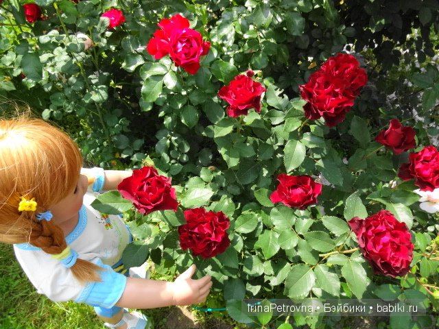 Урок ботаники для Маруси на даче в Подмосковье | Бэйбики Урок ботаники для Маруси на даче в Подмосковье