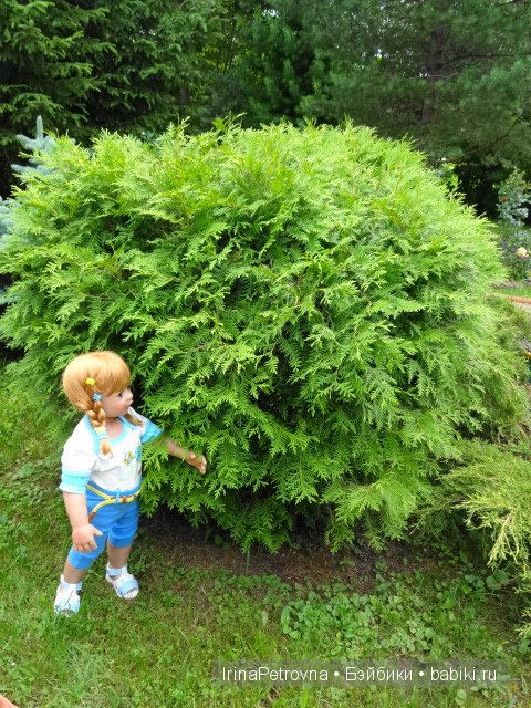 Урок ботаники для Маруси на даче в Подмосковье | Бэйбики Урок ботаники для Маруси на даче в Подмосковье