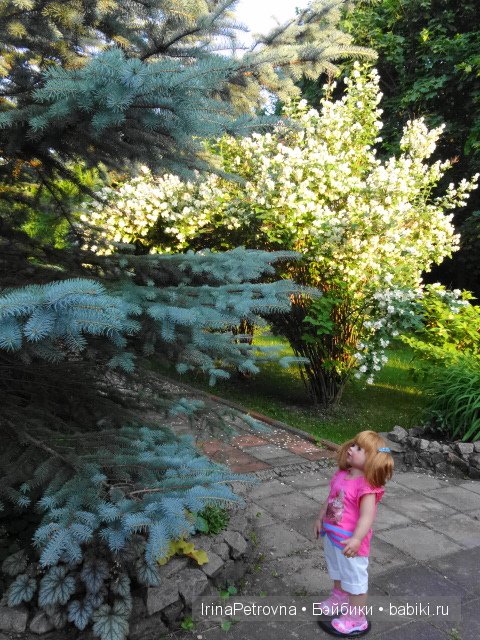 Урок ботаники для Маруси на даче в Подмосковье | Бэйбики Урок ботаники для Маруси на даче в Подмосковье