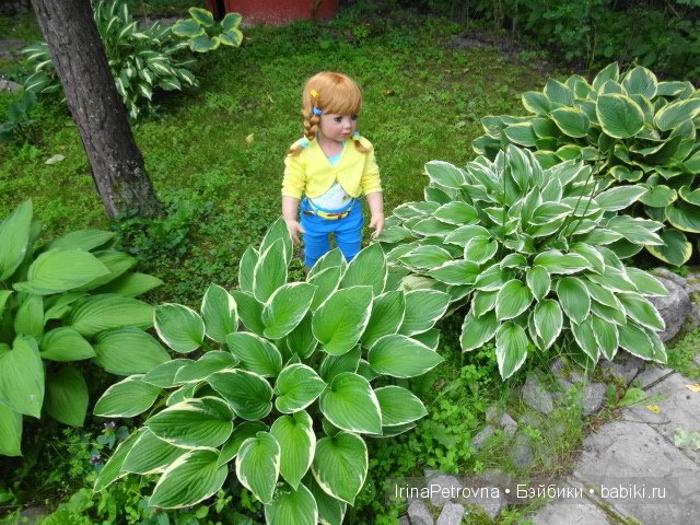 Урок ботаники для Маруси на даче в Подмосковье | Бэйбики Урок ботаники для Маруси на даче в Подмосковье