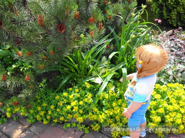 Урок ботаники для Маруси на даче в Подмосковье | Бэйбики Урок ботаники для Маруси на даче в Подмосковье