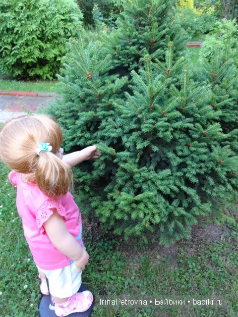Урок ботаники для Маруси на даче в Подмосковье | Бэйбики Урок ботаники для Маруси на даче в Подмосковье
