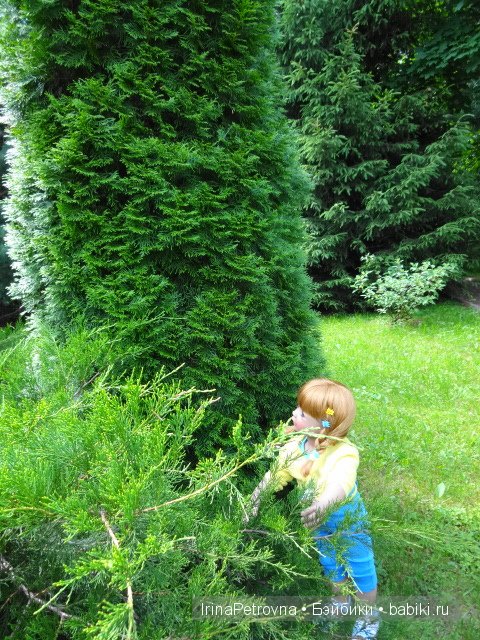 Урок ботаники для Маруси на даче в Подмосковье | Бэйбики Урок ботаники для Маруси на даче в Подмосковье