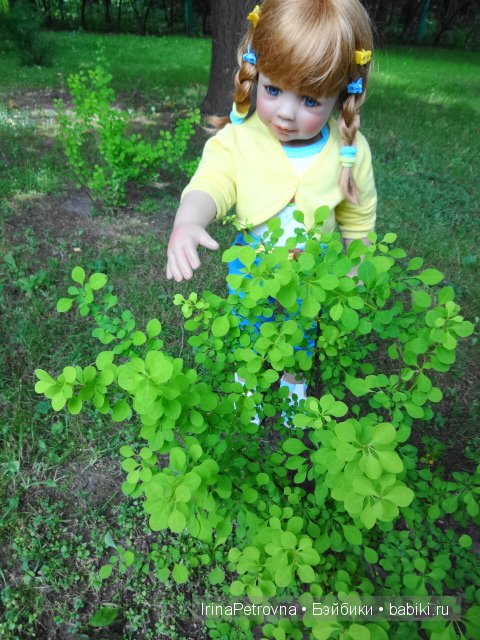 Урок ботаники для Маруси на даче в Подмосковье | Бэйбики Урок ботаники для Маруси на даче в Подмосковье