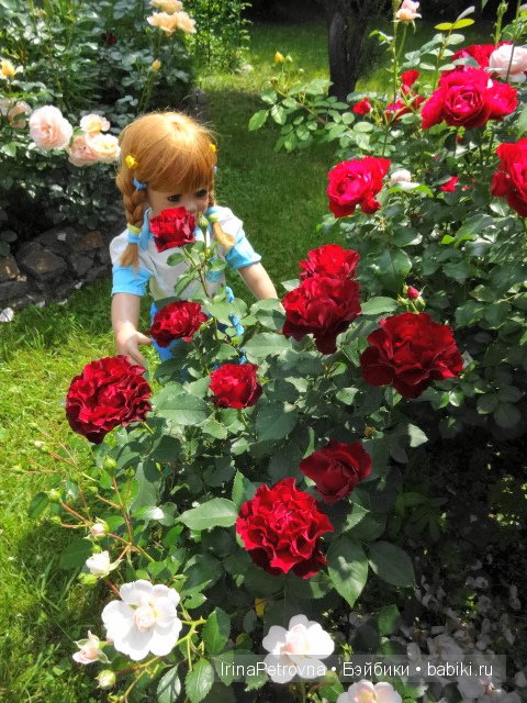 Урок ботаники для Маруси на даче в Подмосковье | Бэйбики Урок ботаники для Маруси на даче в Подмосковье