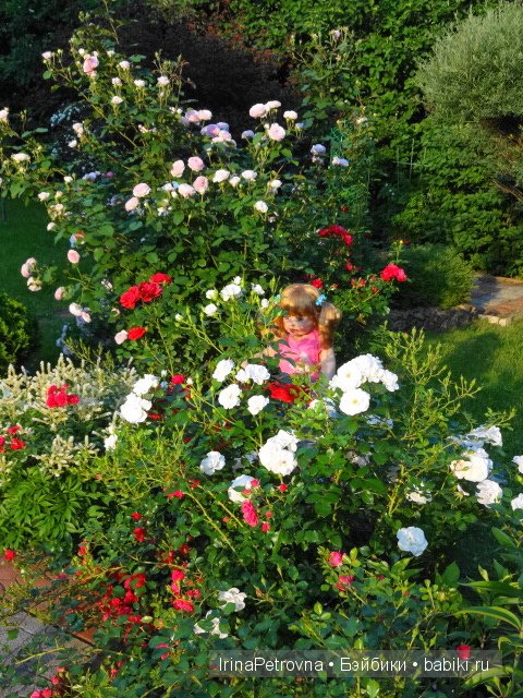 Урок ботаники для Маруси на даче в Подмосковье | Бэйбики Урок ботаники для Маруси на даче в Подмосковье