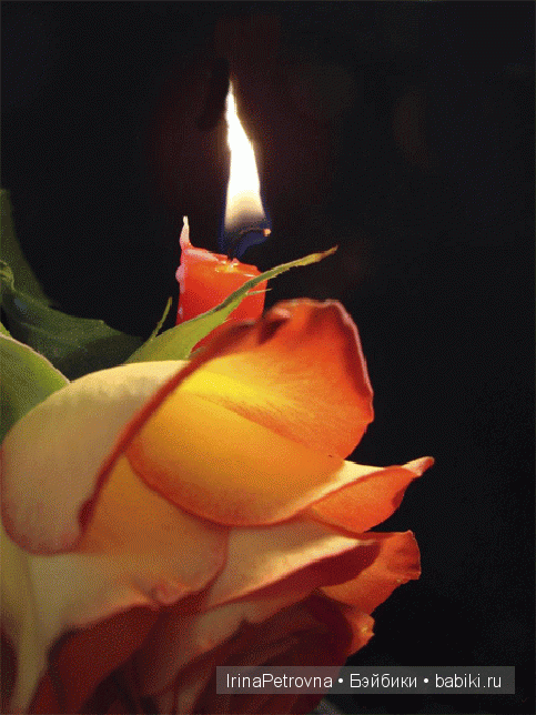 А свечи плачут за людей... Под сердцем боль невыносима