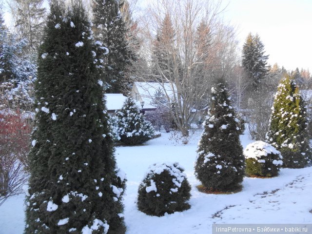 Жизель на даче. Слезы и завораживающая красота после ледяного дождя одновременно