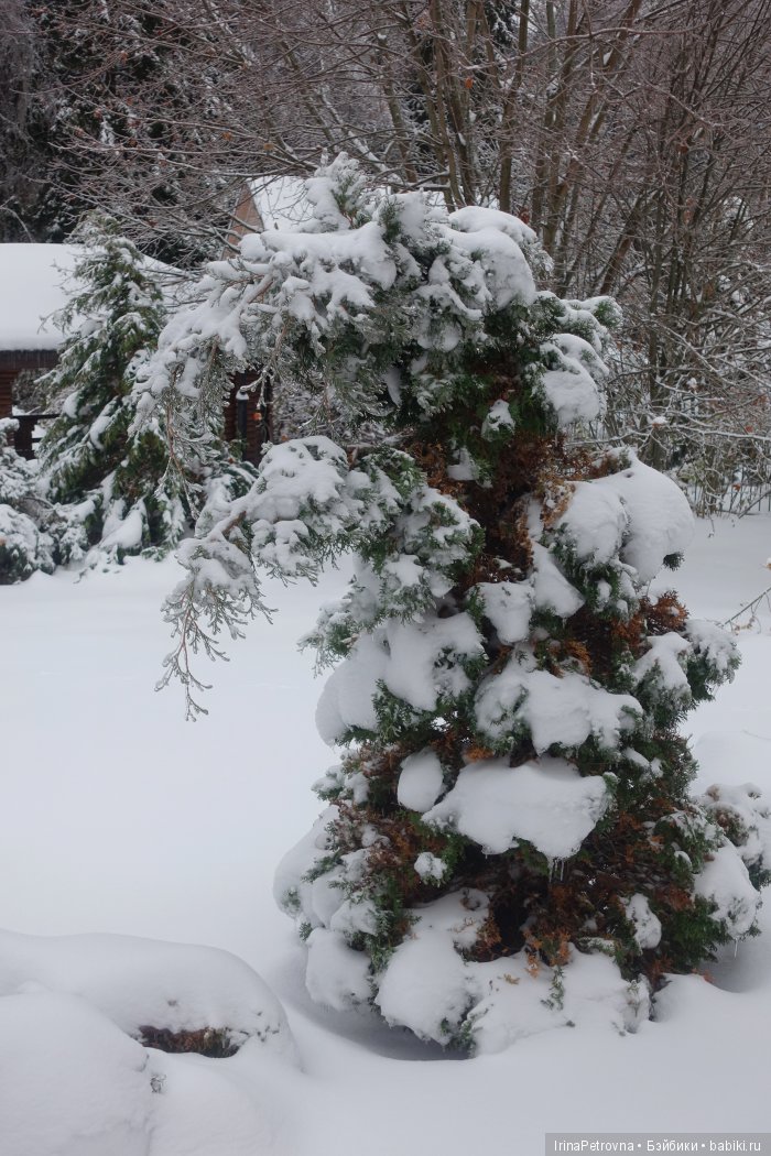 Жизель на даче. Слезы и завораживающая красота после ледяного дождя одновременно