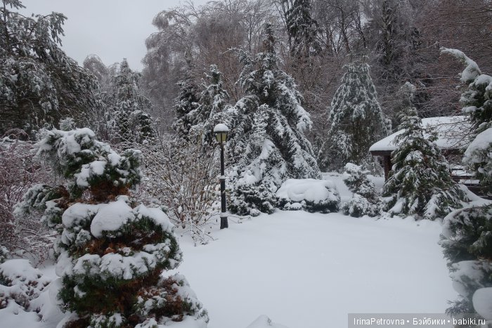 Жизель на даче. Слезы и завораживающая красота после ледяного дождя одновременно