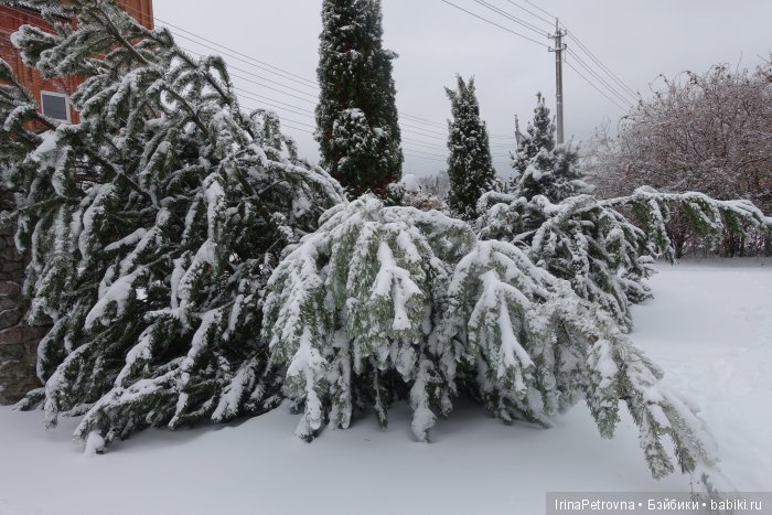 Жизель на даче. Слезы и завораживающая красота после ледяного дождя одновременно
