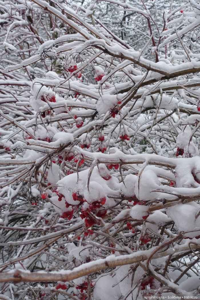 Жизель на даче. Слезы и завораживающая красота после ледяного дождя одновременно