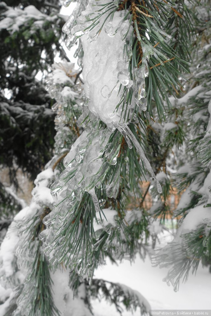 Жизель на даче. Слезы и завораживающая красота после ледяного дождя одновременно