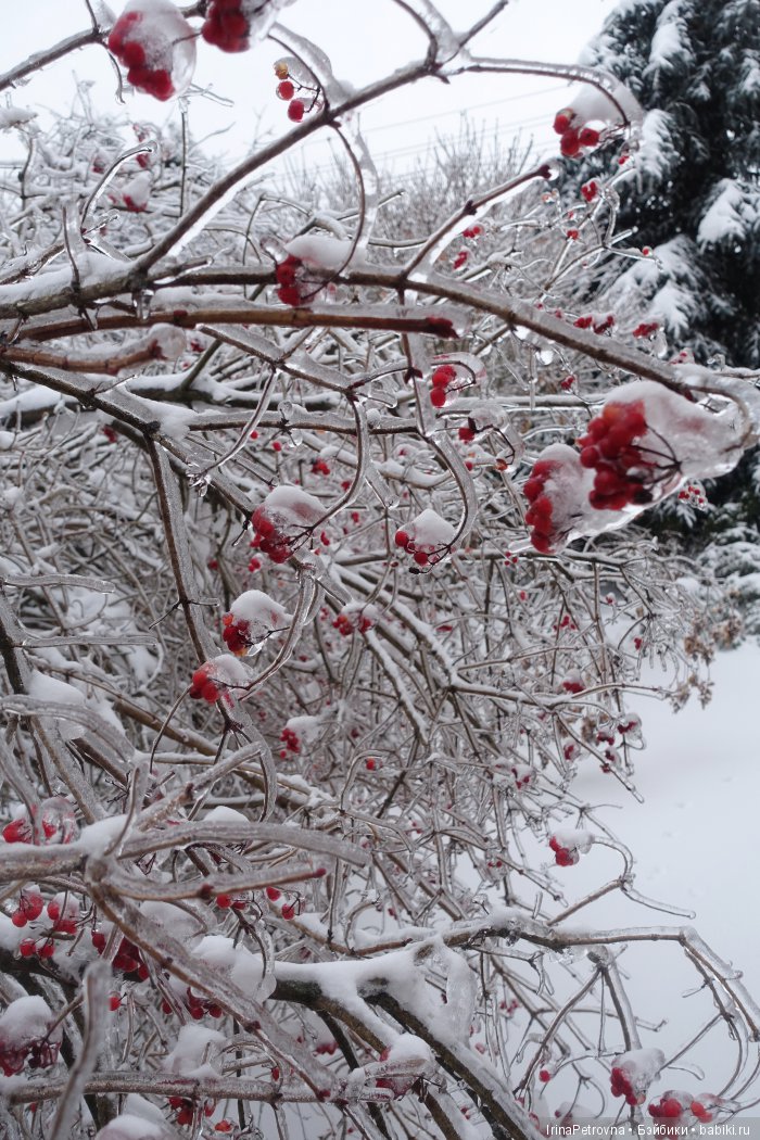 Жизель на даче. Слезы и завораживающая красота после ледяного дождя одновременно