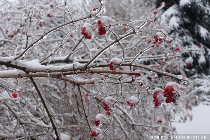 Жизель на даче. Слезы и завораживающая красота после ледяного дождя одновременно