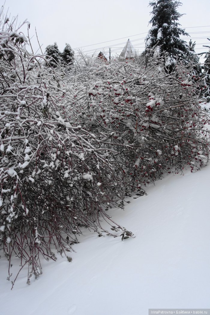 Жизель на даче. Слезы и завораживающая красота после ледяного дождя одновременно