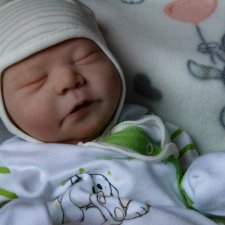 Малыш Чейз / Реборн / Шопик - продать купить куклу / Бэйбики | Находка ...