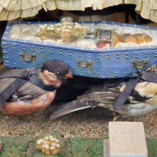 Создатель антропоморфной таксидермии (жутенько)