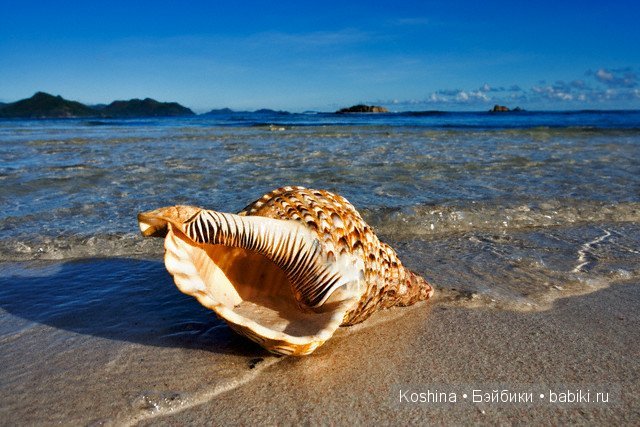 Запуталась, не умею, помогите. Срочно нужна критика в любой форме (фото 7)
