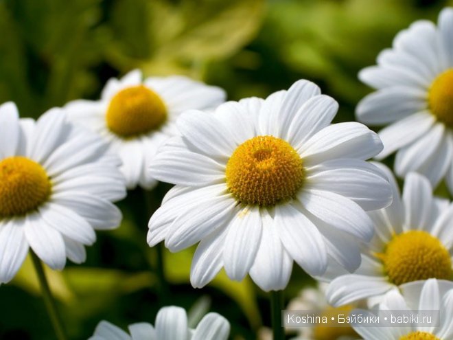 Запуталась, не умею, помогите. Срочно нужна критика в любой форме