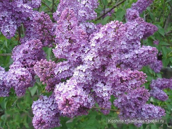Запуталась, не умею, помогите. Срочно нужна критика в любой форме