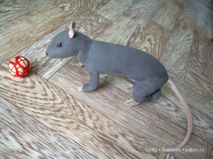 Ко мне приехал... Фомочка (фото 4)