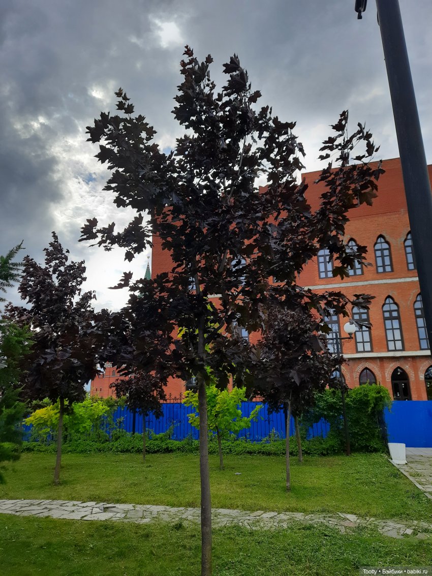 Как Йонас ездил в Марий Эл и в Башкирию