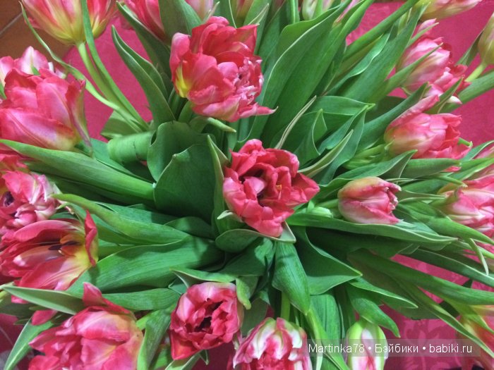 Весна в цветах для крошки Юми (realpuki Pupu)