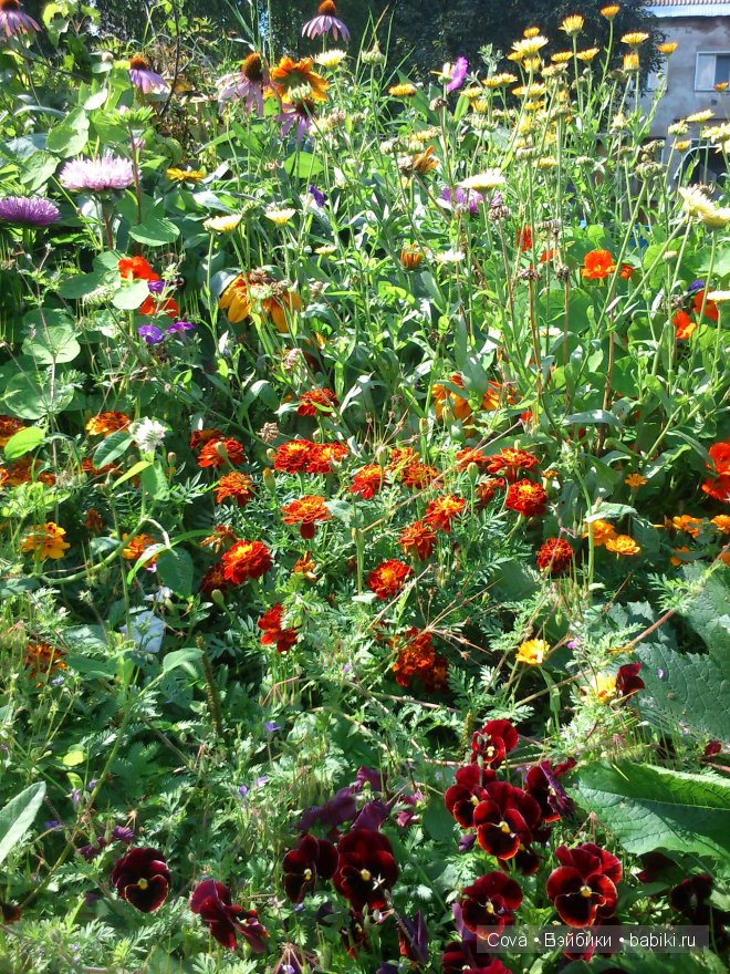 "Вот и кончилось теплое лето...." (фото 8)