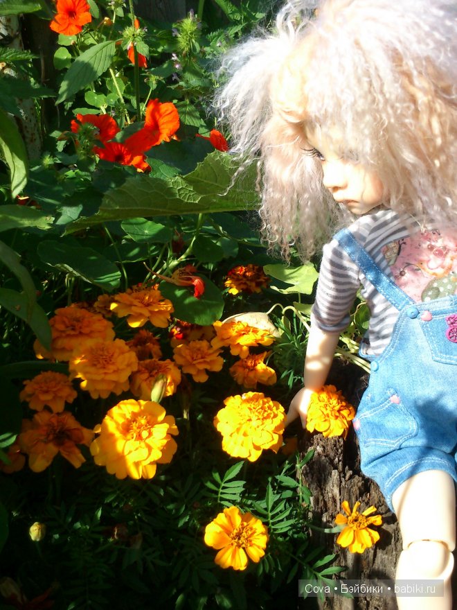 "Вот и кончилось теплое лето...."