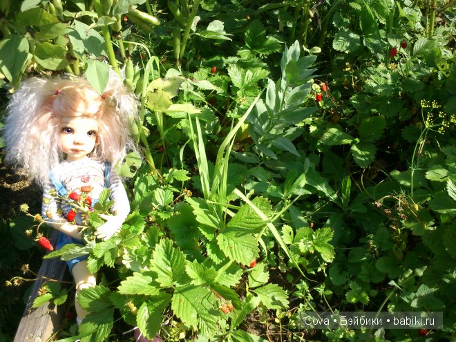 "Вот и кончилось теплое лето...." (фото 6)